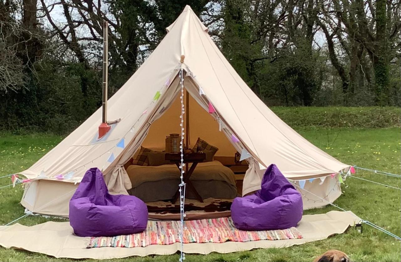 فندق West Holme Glamping ويرهام المظهر الخارجي الصورة