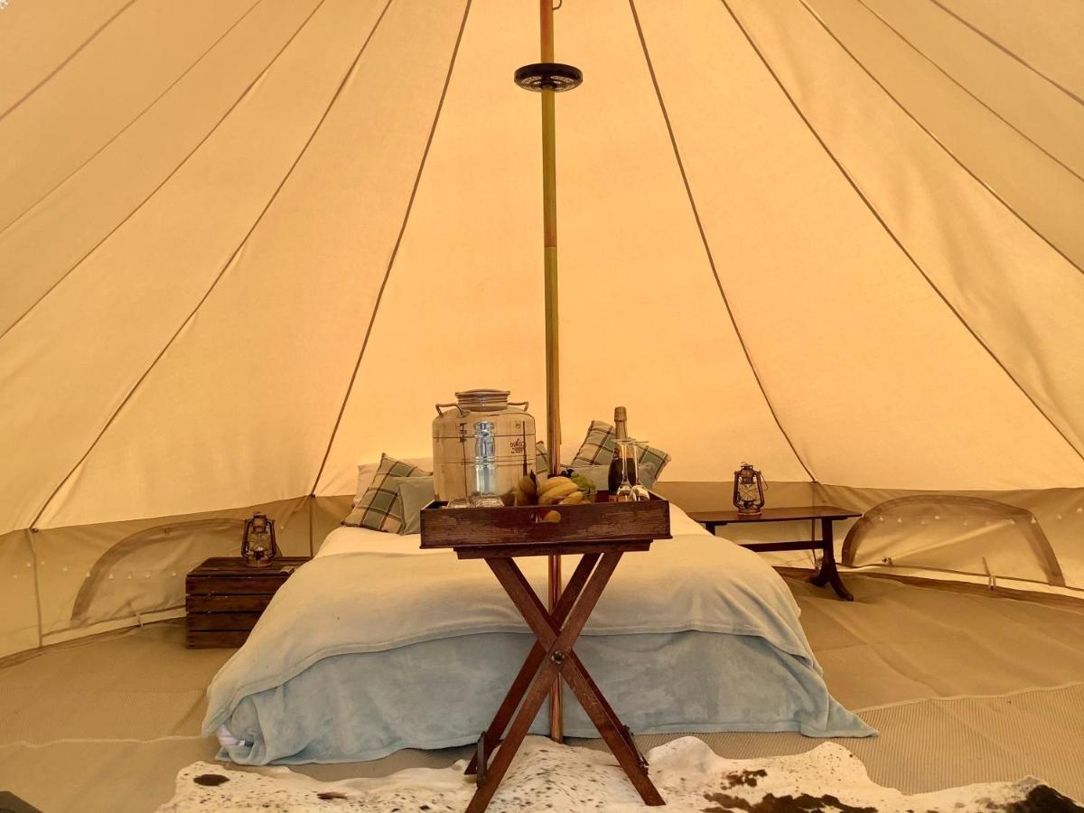 فندق West Holme Glamping ويرهام المظهر الخارجي الصورة